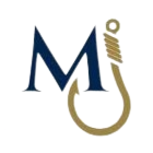 Spider Function Logo